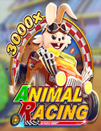 เคล็ดลับการเล่น คาสิโน ประเทศไทย สไตล์มือใหม่หัดเล่น