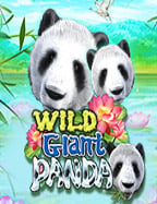 เดิมพันฟรี poker online เงินจริง pantip ทดลองเล่นได้ทุกวัน